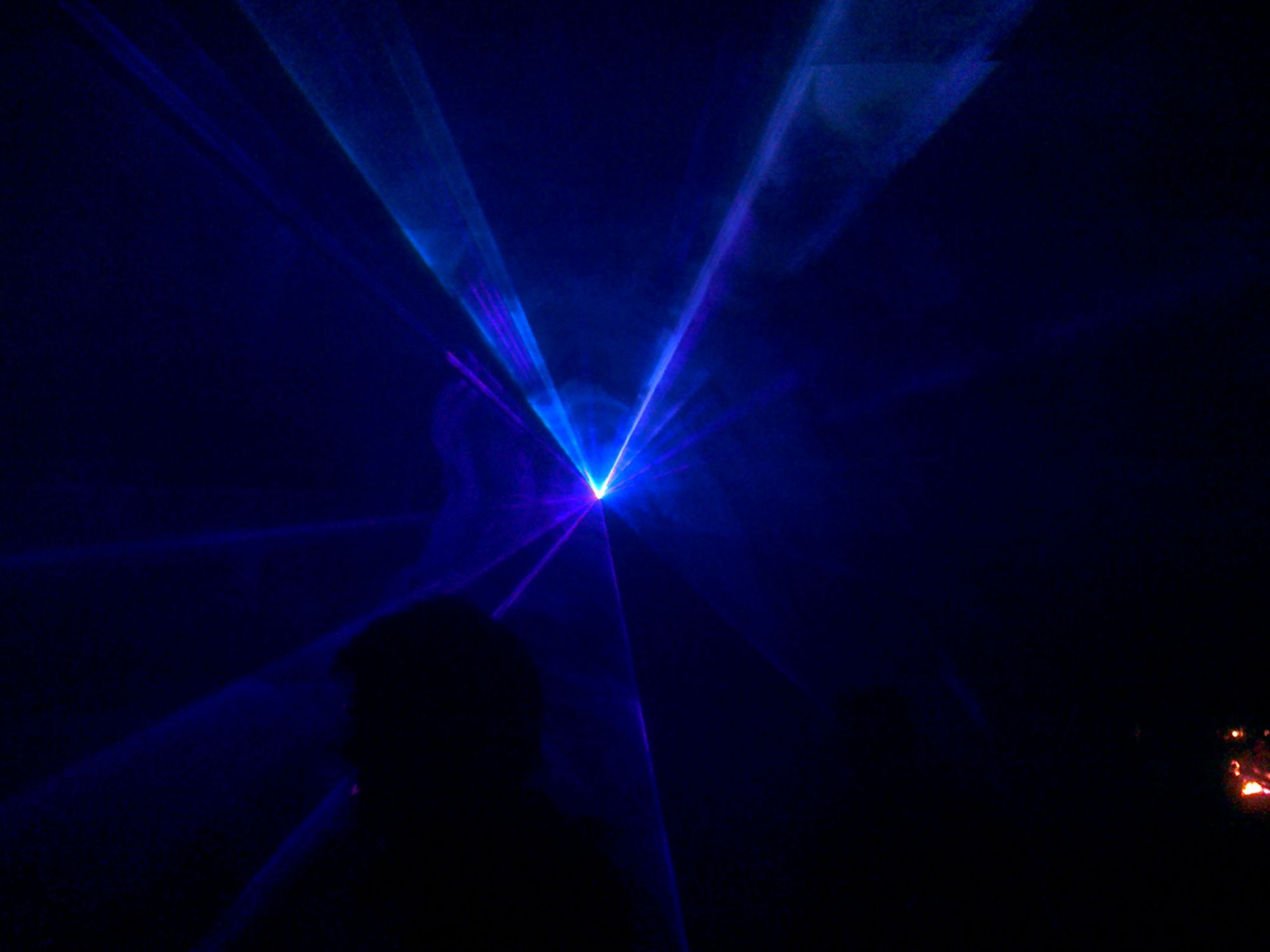 Trap Boi Crazy ravin' the woods